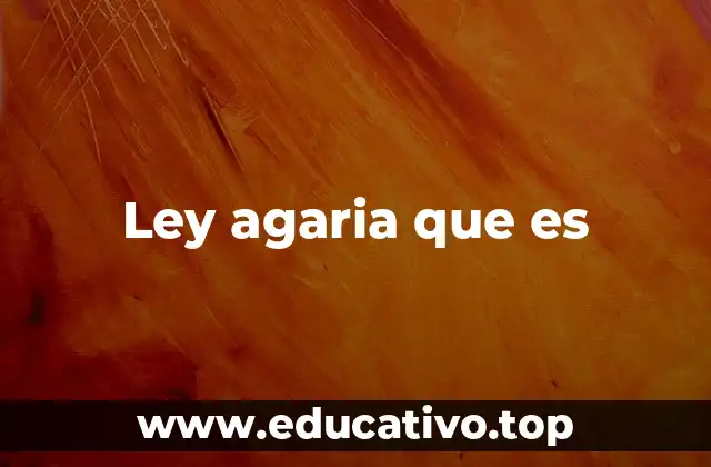 Ley agaria que es