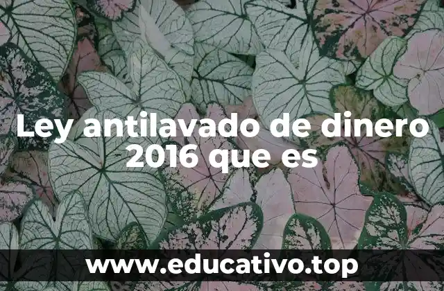 Ley antilavado de dinero 2016 que es