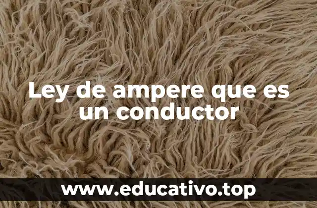 Ley de ampere que es un conductor