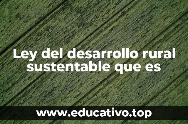 El papel del gobierno federal en el desarrollo rural