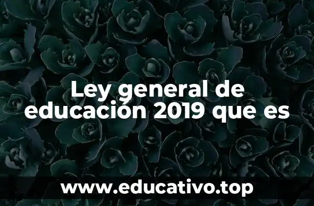 Ley general de educación 2019 que es