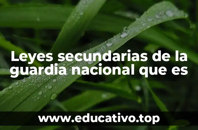 El marco legal que sustenta a la Guardia Nacional