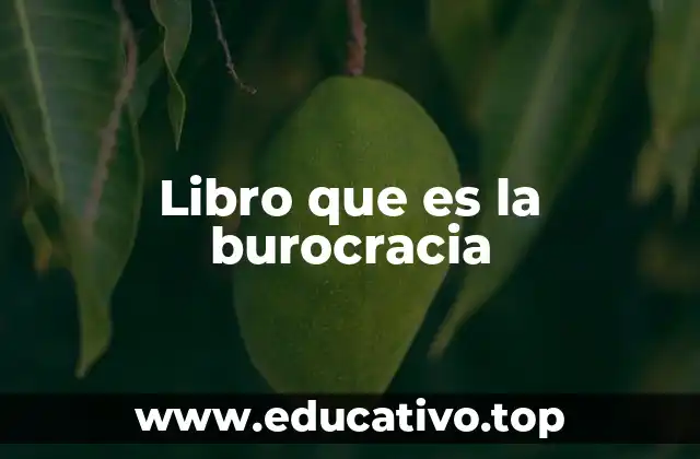 La burocracia desde una perspectiva moderna