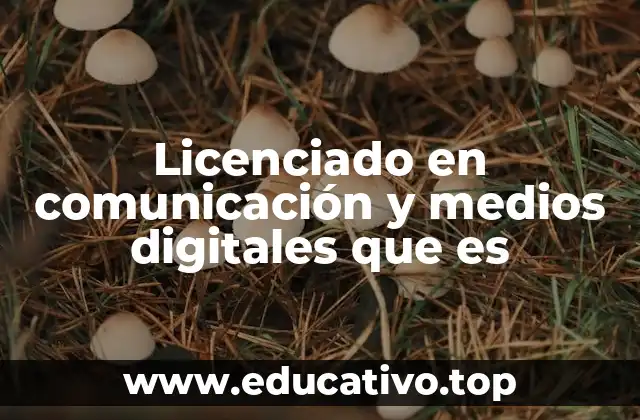 Licenciado en comunicación y medios digitales que es