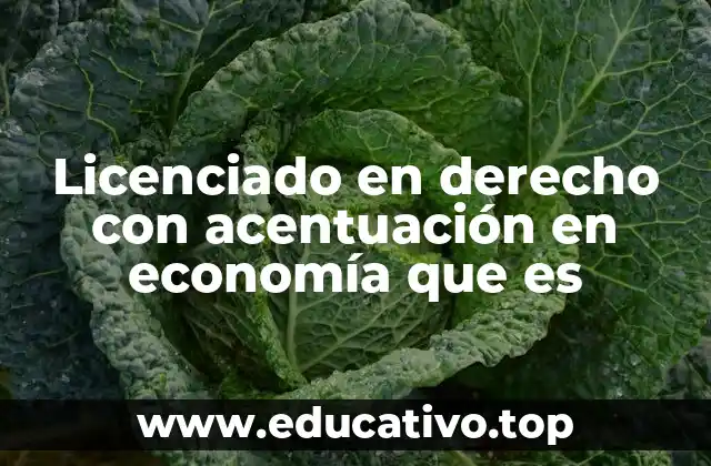 Licenciado en derecho con acentuación en economía que es