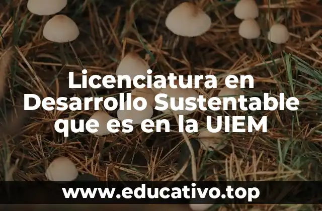 Licenciatura en Desarrollo Sustentable que es en la UIEM