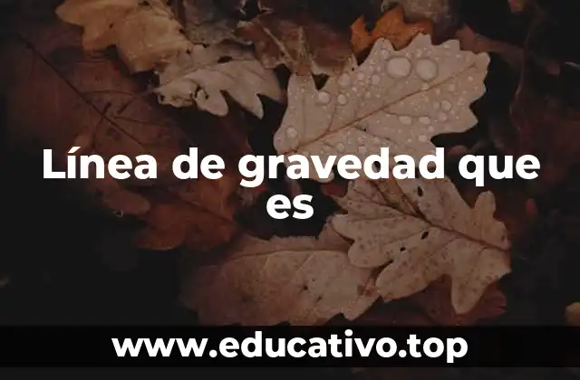 Línea de gravedad que es