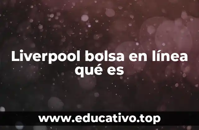Cómo funciona una bolsa de valores en línea