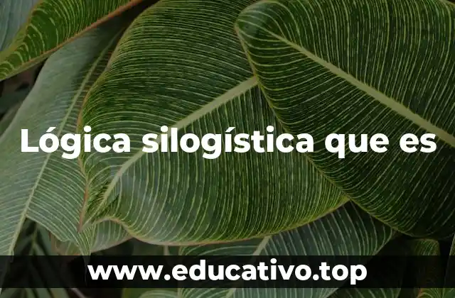 Lógica silogística que es