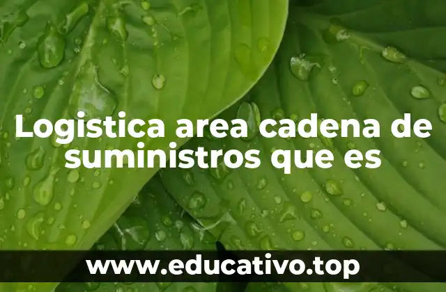 Logistica area cadena de suministros que es