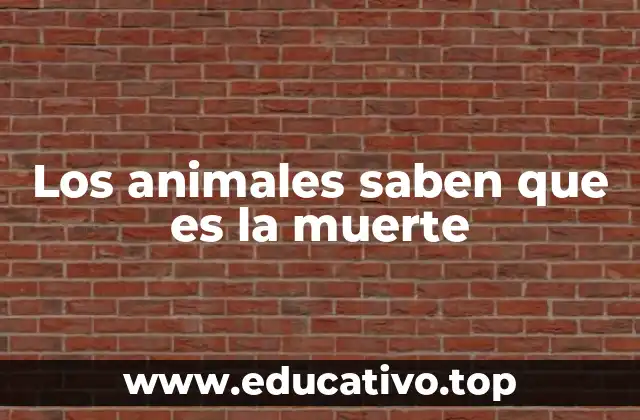 Los animales saben que es la muerte