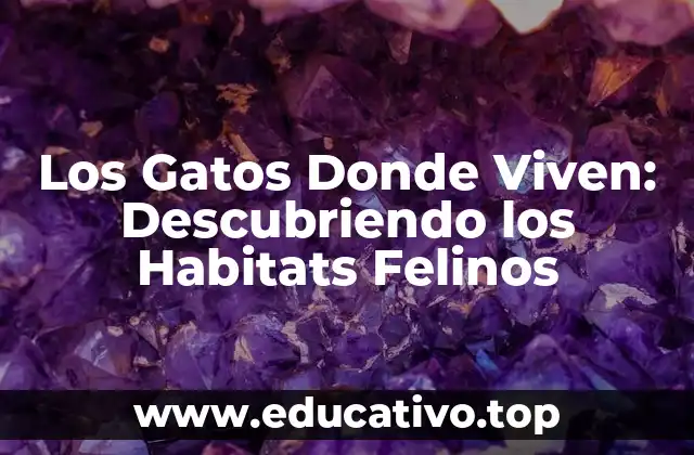 Los Gatos Donde Viven: Descubriendo los Habitats Felinos