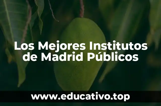 Los Mejores Institutos de Madrid Públicos