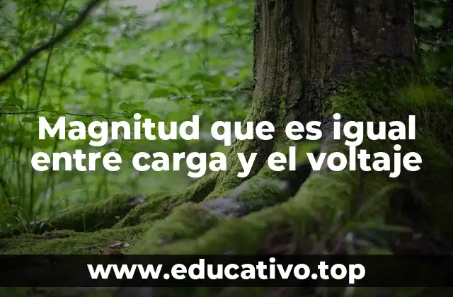 Magnitud que es igual entre carga y el voltaje