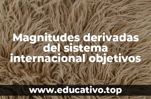 Magnitudes derivadas del sistema internacional objetivos