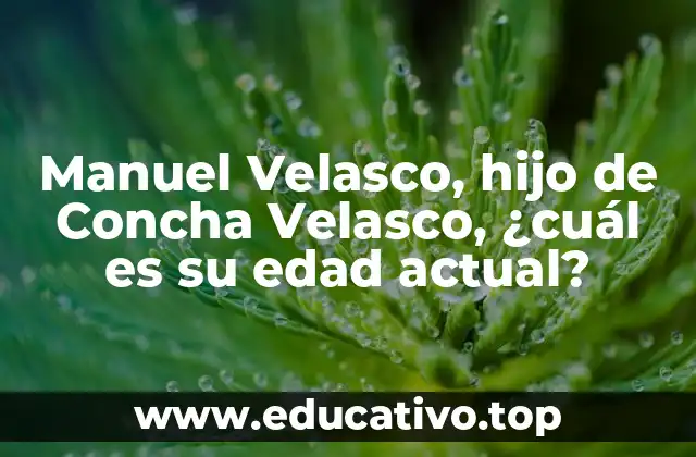 Manuel Velasco, hijo de Concha Velasco, ¿cuál es su edad actual?