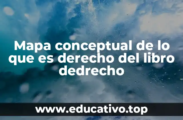 Mapa conceptual de lo que es derecho del libro dedrecho