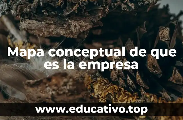 Mapa conceptual de que es la empresa