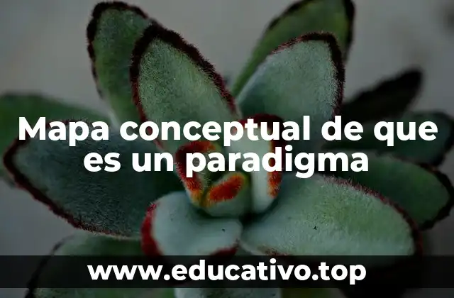La importancia de entender los paradigmas en el aprendizaje