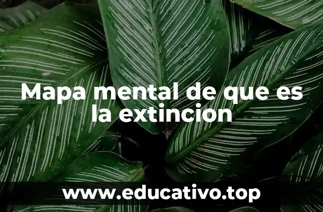 La desaparición de especies y su impacto en el equilibrio ecológico