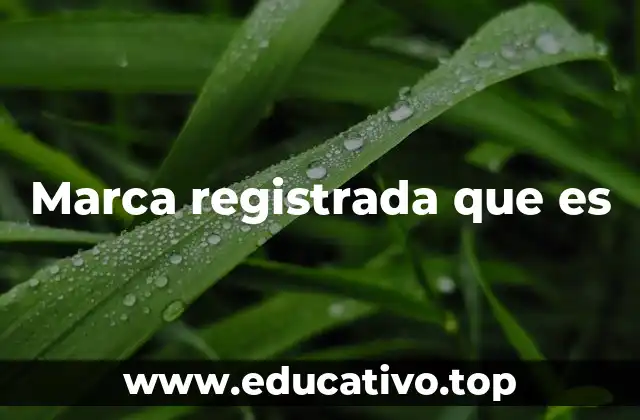 Marca registrada que es