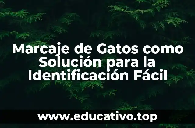 Marcaje de Gatos como Solución para la Identificación Fácil