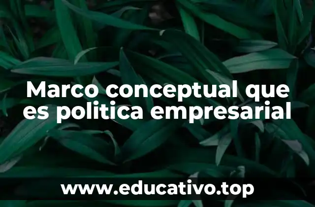 Marco conceptual que es politica empresarial