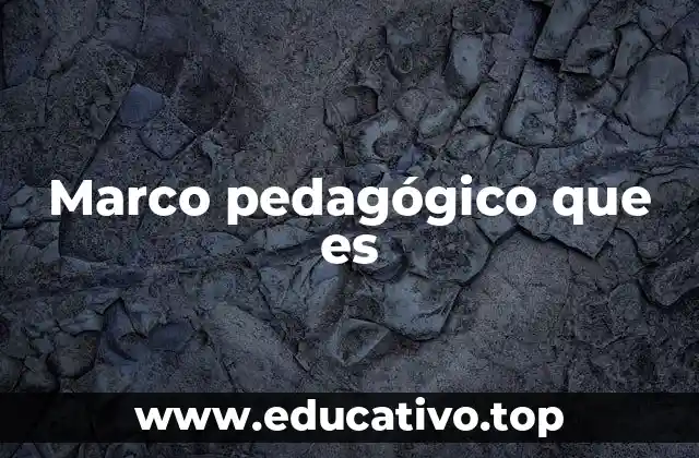 Marco pedagógico que es