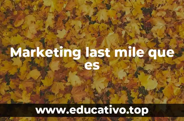 El puente entre el interés y la conversión