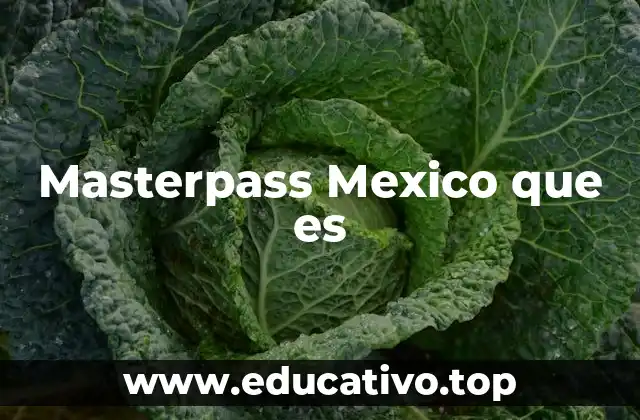 Masterpass Mexico que es
