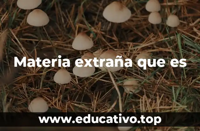 La materia extraña y su papel en la física moderna