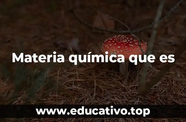 Materia química que es