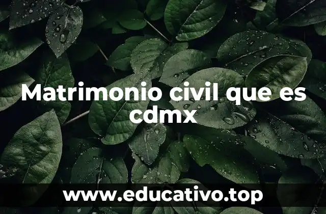 Matrimonio civil que es cdmx