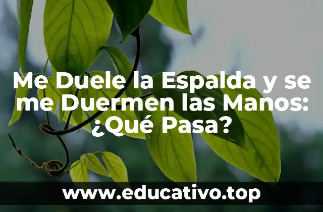 Me Duele la Espalda y se me Duermen las Manos: ¿Qué Pasa?