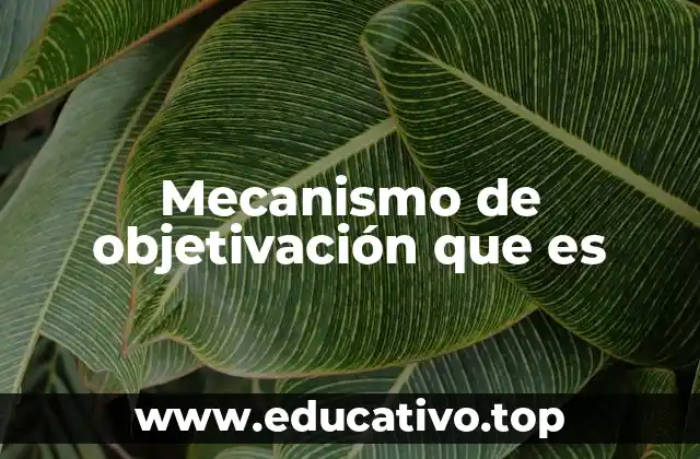Mecanismo de objetivación que es
