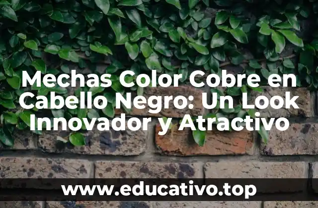 Mechas Color Cobre en Cabello Negro: Un Look Innovador y Atractivo