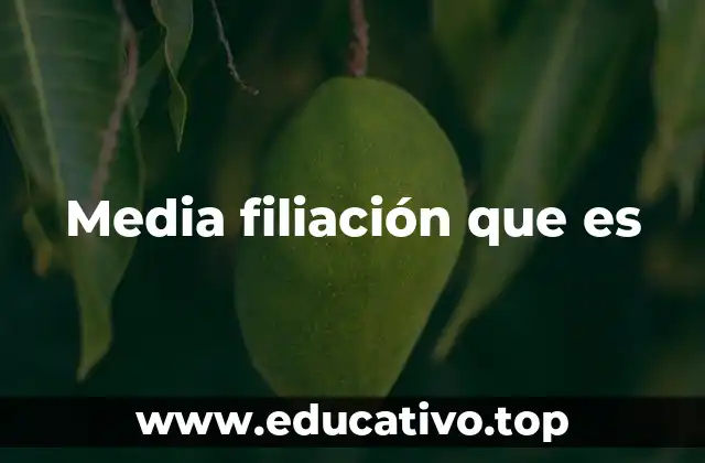 Media filiación que es