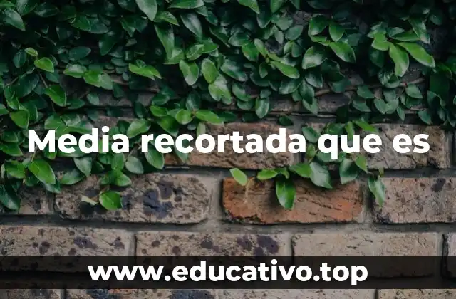 Media recortada que es