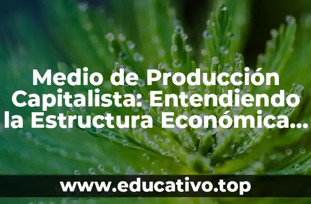 Medio de Producción Capitalista: Entendiendo la Estructura Económica Moderna