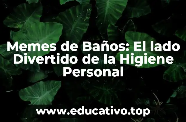 ¿Qué son los Memes de Baños?