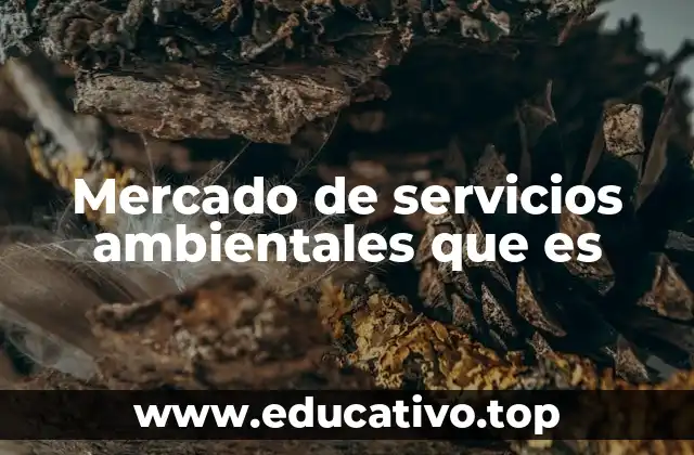 Mercado de servicios ambientales que es