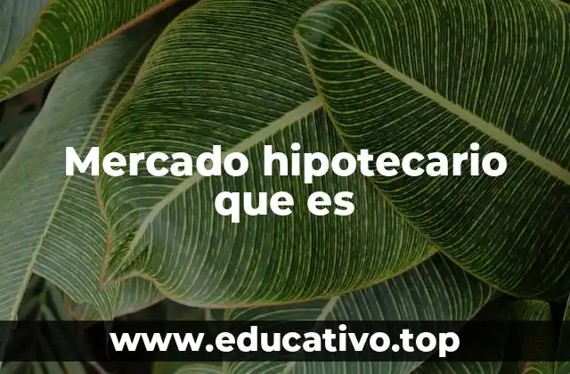 Cómo se estructura el sistema hipotecario