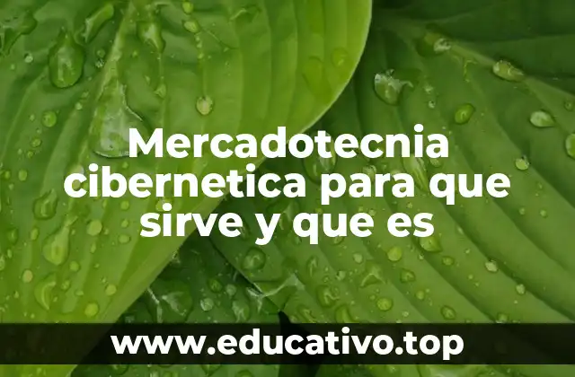 Mercadotecnia cibernetica para que sirve y que es