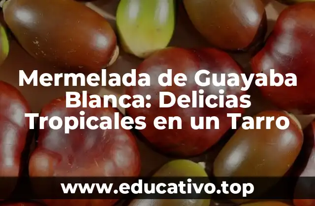 Mermelada de Guayaba Blanca: Delicias Tropicales en un Tarro