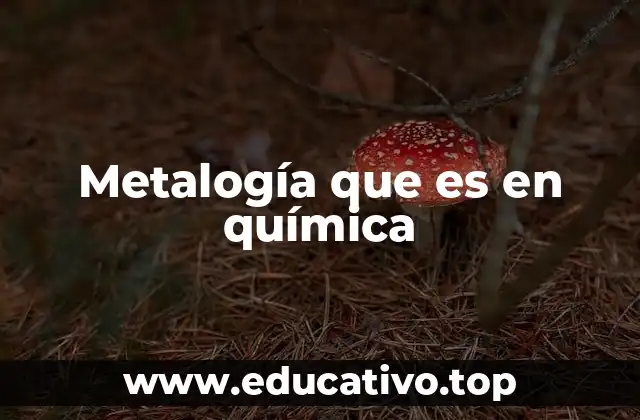 Metalogía que es en química
