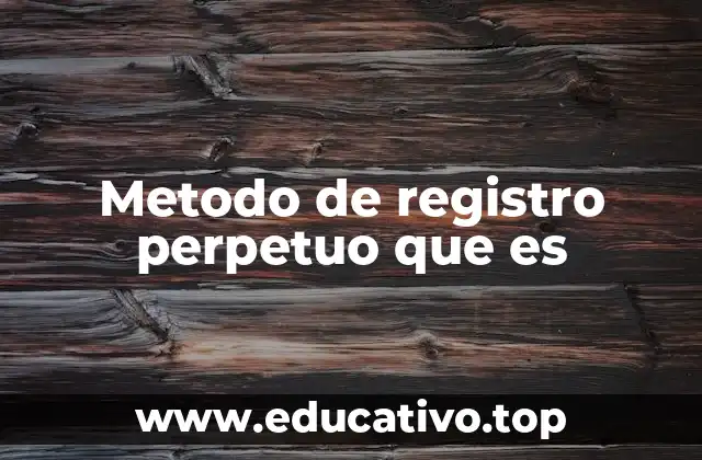 Metodo de registro perpetuo que es