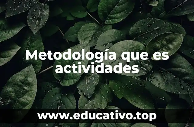 Metodología que es actividades