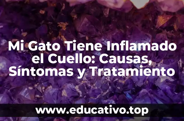 Mi Gato Tiene Inflamado el Cuello: Causas, Síntomas y Tratamiento