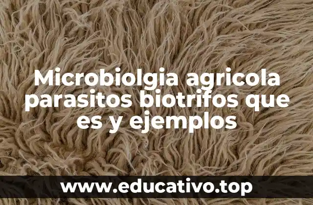 Microbiolgia agricola parasitos biotrifos que es y ejemplos