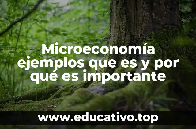 Microeconomía ejemplos que es y por qué es importante